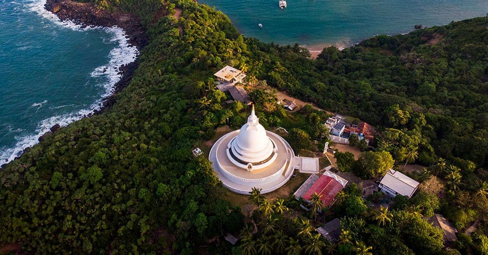 Pottuvil Lagoon Safari: The Mangrove Maze