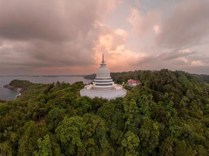 Serenity Above the Bay: The Japanese Peace Pagoda